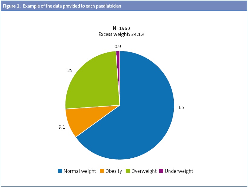 Figure 1. Example of the data provided to each paediatrician
