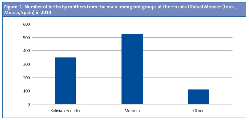 Figure 1. Number of births by mothers from the main immigrant groups at the Hospital Rafael Méndez (Lorca, Murcia, Spain) in 2014
