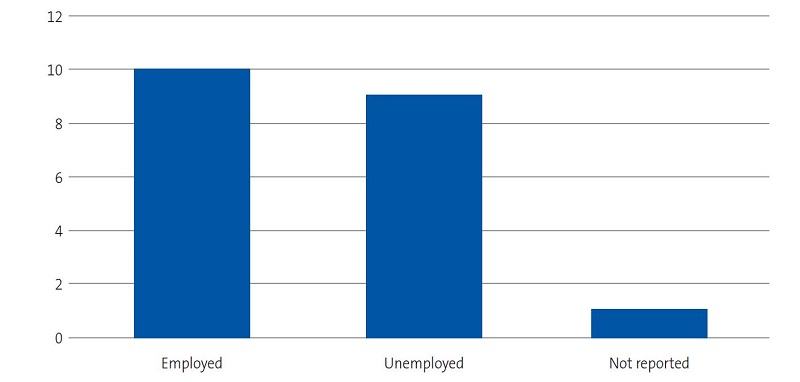 Figure 4. Study on the concerns, beliefs and needs of families of children with sickle cell disease. Employment status of interviewees.