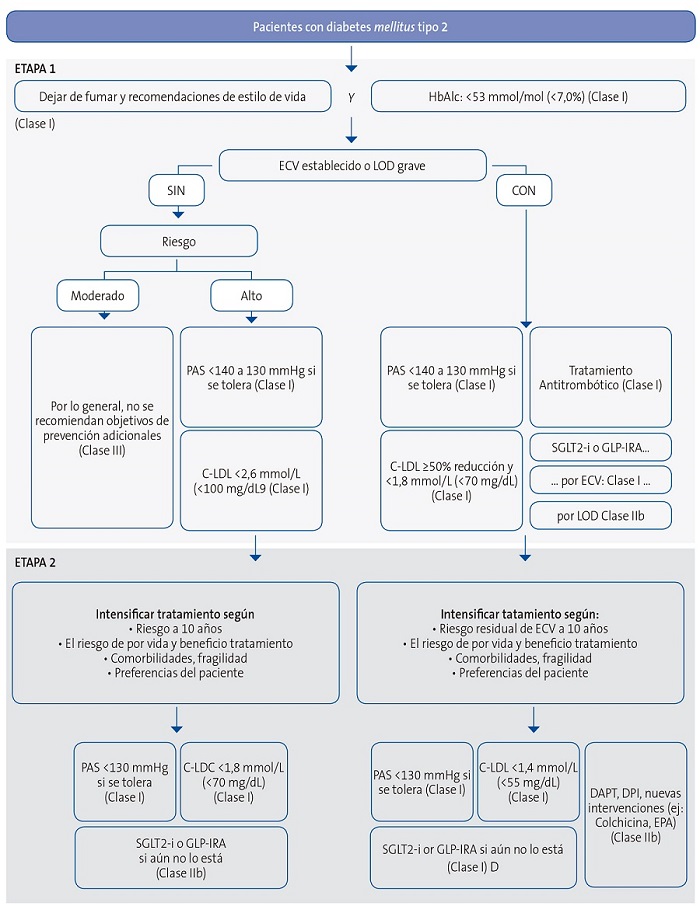 Figura 3. Algoritmo de riesgo vascular; objetivos terapéuticos y tratamiento farmacológico en pacientes con diabetes 
