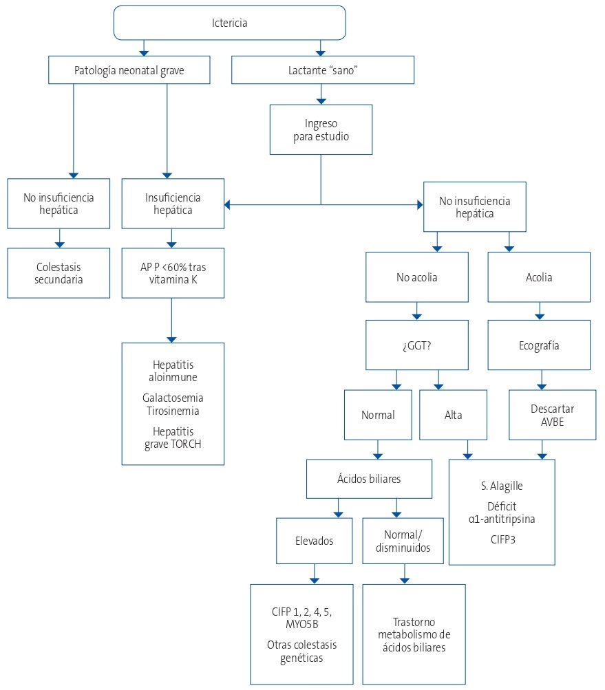 Figura 1. Algoritmo del diagnóstico de colestasis neonatal