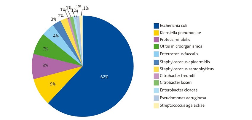 Figura 1. Etiología de la infección urinaria (periodo de estudio 2020-2021)