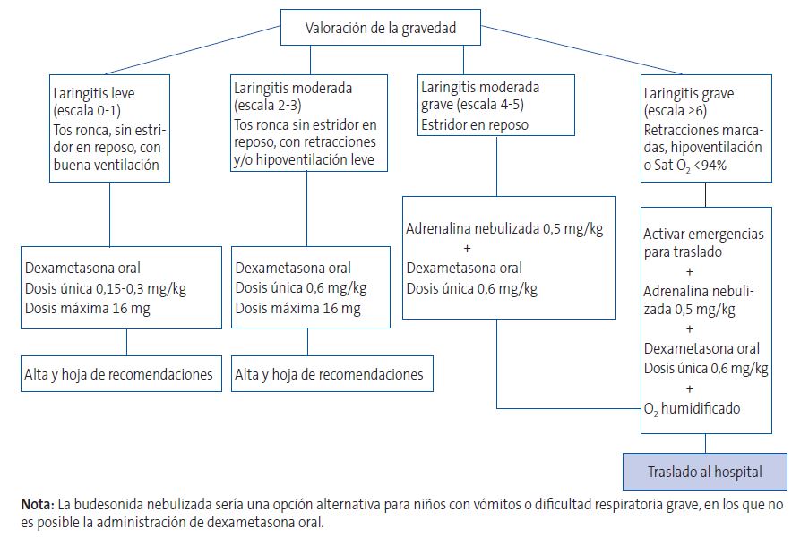 Figura 1. Algoritmo para valorar la gravedad de la laringitis