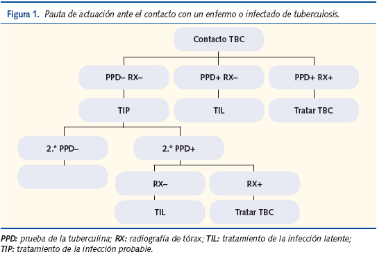 Figura 1. Pauta de actuación ante el contacto con un enfermo o infectado de tuberculosis.