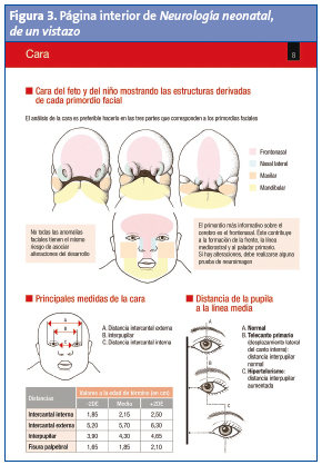 Figura 3. Página interior de Neurología neonatal, de un vistazo