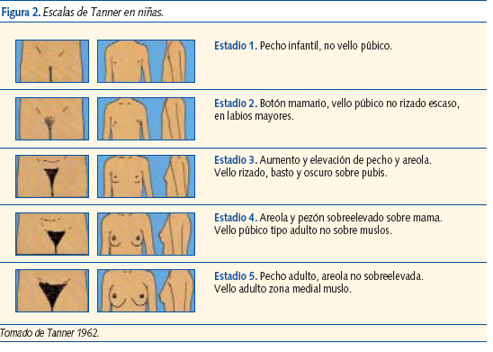 vello de la pubertad