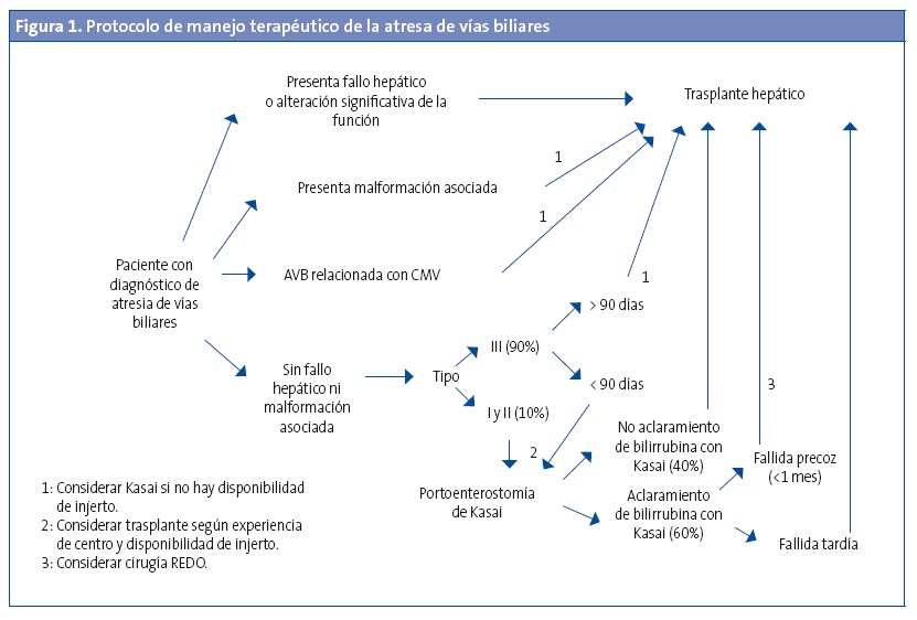 Figura 1. Protocolo de manejo terapéutico de la atresa de vías biliares