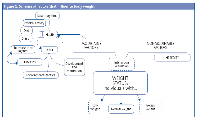 Figure 1. Schema of factors that influence body weight