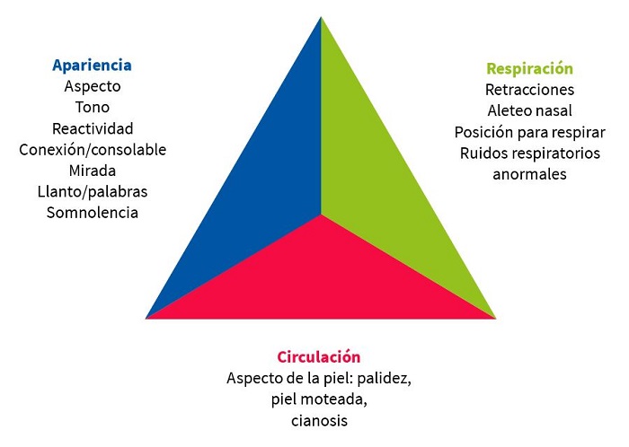 Figura 2. Triángulo de evaluación pediátrica