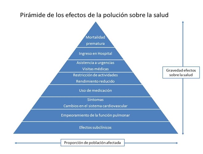Figura 13. Representación de la influencia de la contaminación ambiental sobre la salud y el sistema sanitario