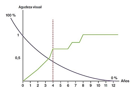 Figura 1. Agudeza visual máxima aproximada para las diferentes edades (línea verde) y plasticidad cerebral (línea morada)