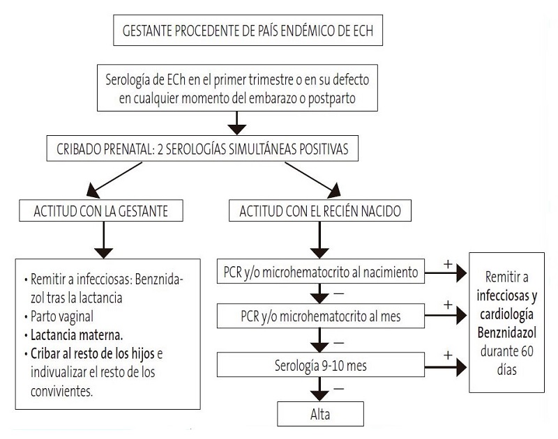 Figura1. Protocolo de estudio de enfermedad de Chagas en mujer gestante que procede de un país endémico