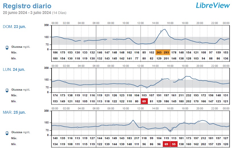 Figura 2. Visualización del registro diario de los valores de glucosa a través de un sistema de monitorización