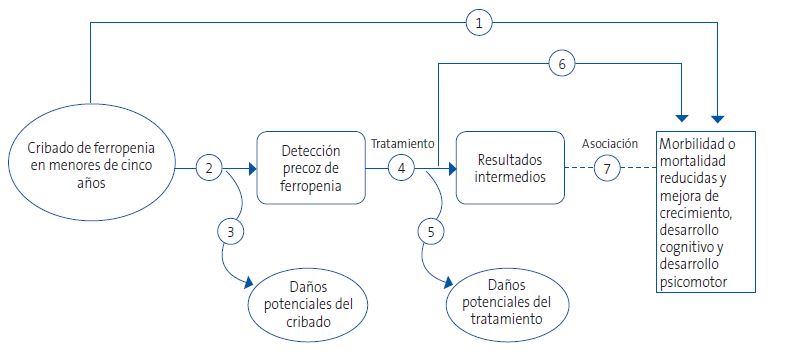 Figura 2. Cribado de ferropenia en menores de cinco años: marco analítico