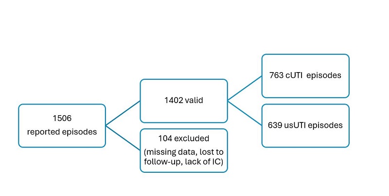 Figure 1. Flow diagram