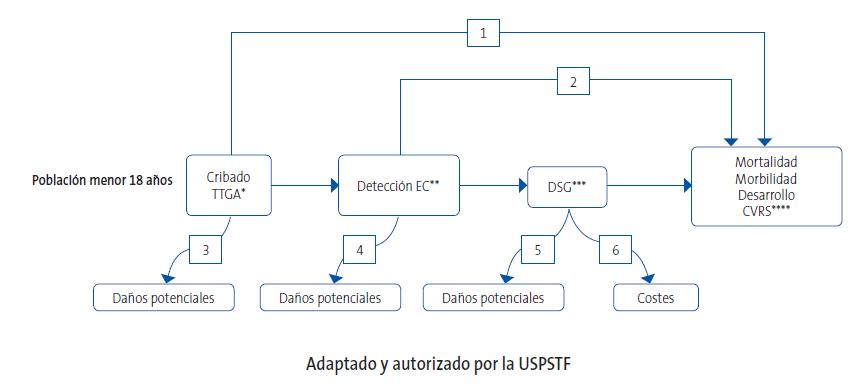 Figura 1. Cribado de la enfermedad celíaca. Marco analítico