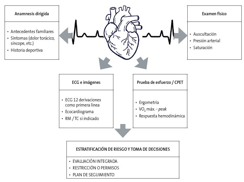 Figura 1. Componentes fundamentales de la evaluación preparticipativa deportiva en pacientes con cardiopatía congénita