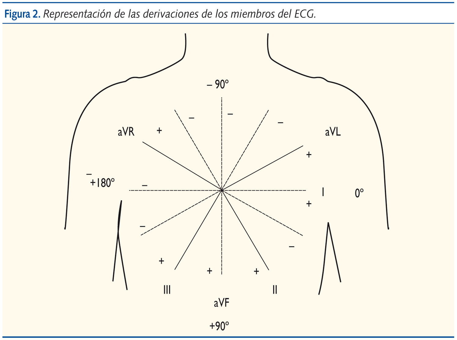 Figura 2. Representación de las derivaciones de los miembros del ECG.